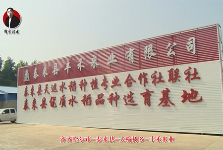 泰(tai)來(lai)縣(xian)-大榆樹(shu)鄕(xiang)-豐(feng)禾米(mi)業(ye)